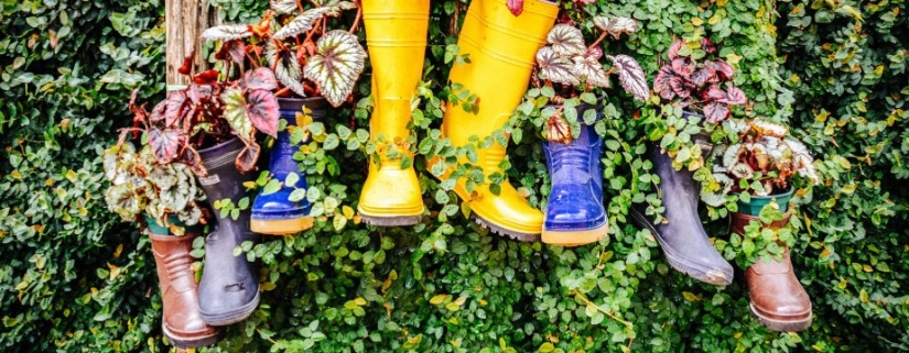 Plant-filled boots hang from an outside foliage-covered wall